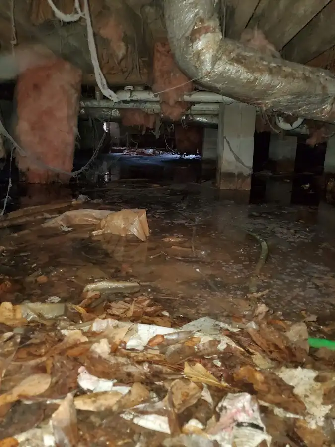 Crawl space flood assessment for Leak Detection & Repair in Clarksburg